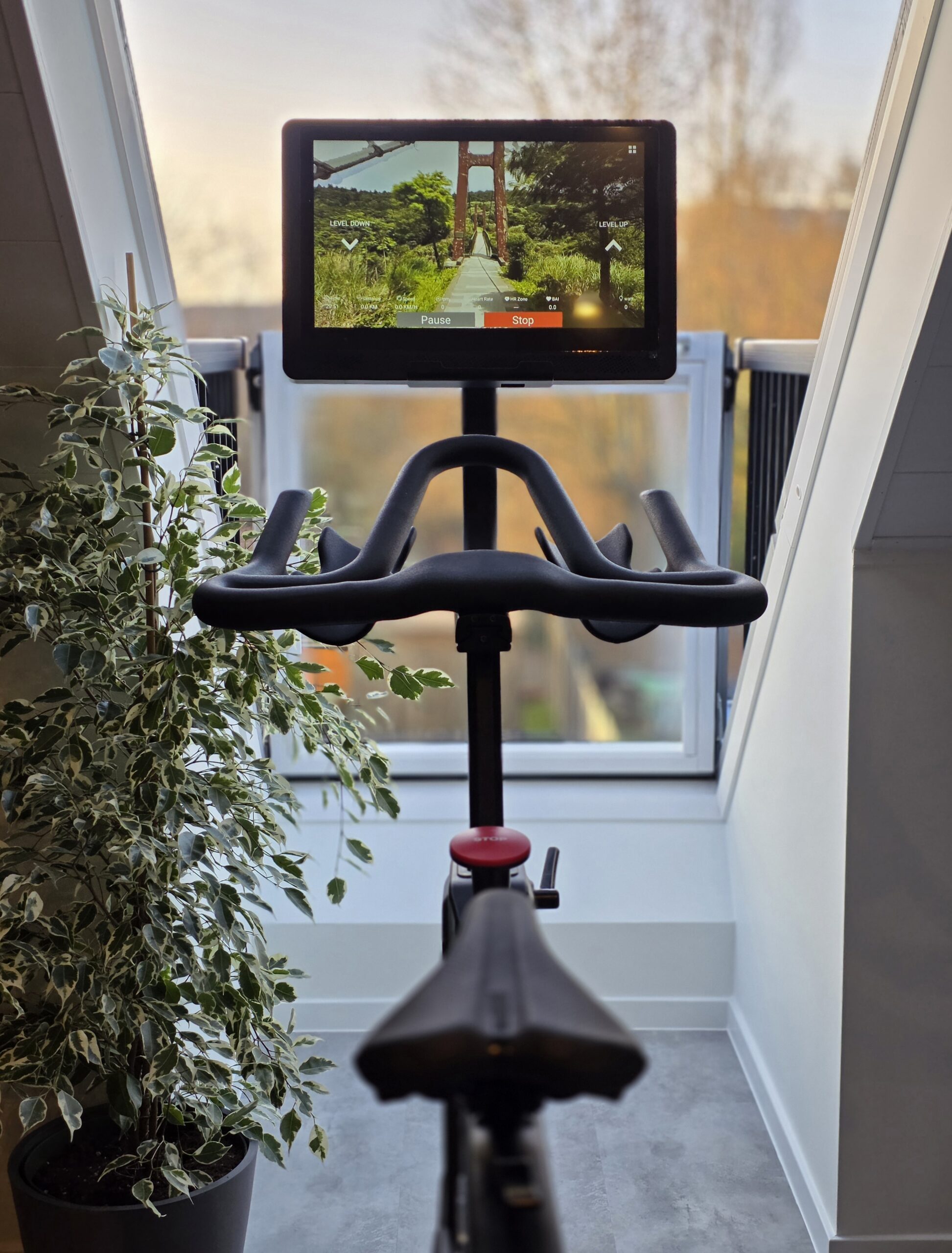Fiets‑trainer Taurus Smart Bike Z9.9 met digitaal scherm Pro 15,6 inch-console bij raam VELUX Cabrio in privé fitness Level170, natuurlijke lichtinval en groene plant.